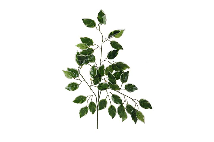 (12 Sticks) Artificial Green Garland Fake Leaf Ficus Plants, Flowers Hanging for Wedding Party Home Garden Kitchen Office Outdoor Greenery Wedding Wall Decoration - 20969