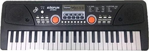BF-530A1 49-Keys Bigfun Electronic Piano with Microphone, USB MP3 Play Function (Black)