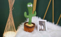 Talking-Green Cactus Toy - 1202