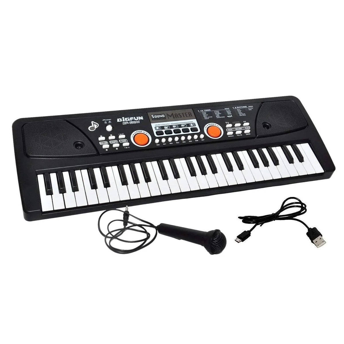 BF-530A1 49-Keys Bigfun Electronic Piano with Microphone, USB MP3 Play Function (Black)