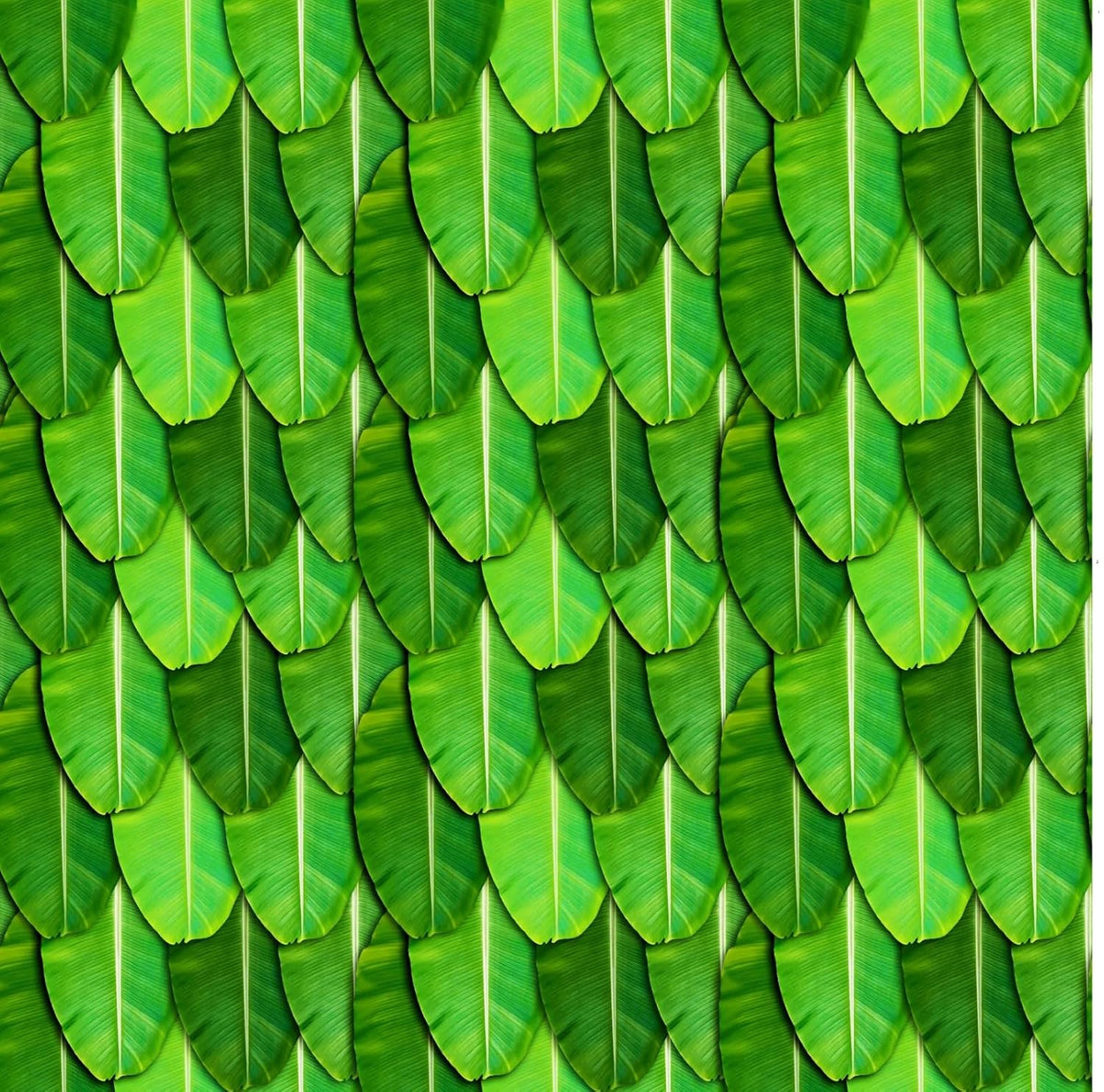 PJD-398  Green Banana Leaf Printed Backdrop Cloth, Polyester, 8Ft x 8Ft, for Satyanarayan Pooja, Ganesh Chaturthi, South Indian Festival Decoration, Washable and Reusable