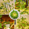 Minetom Vine Fairy Lights  LED Green Pothos Garland Light with Remote Control - Hanging Leaf String Lights for Girls Bedroom Dorm Room Wall Decorations {size-18*9*10cm} - 21114