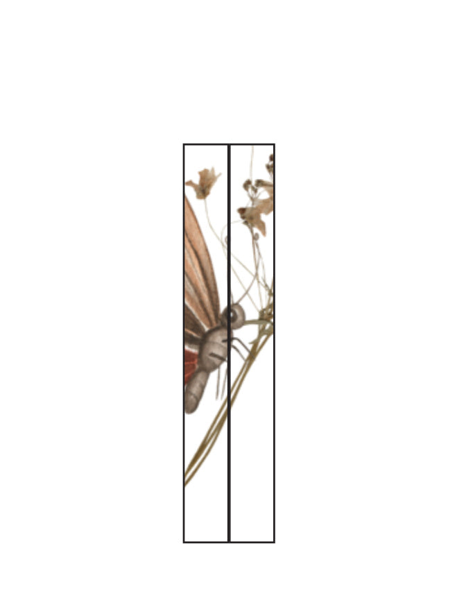 Left_Shoulder_2_c_17.jpg