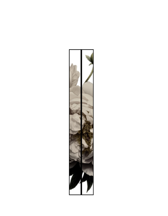 Left_Shoulder_2_c_17.jpg