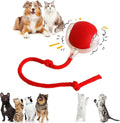 Smart Rolling LED Pet Ball – USB Charging, Motion-Activated for Indoor Play