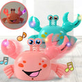 Climbing Crab Toy