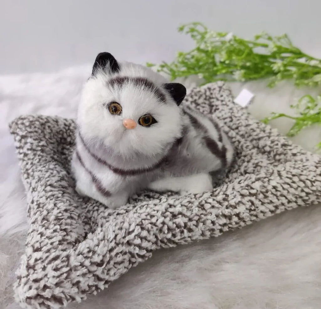 Cute Simulation Music Mat Cat