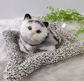 Cute Simulation Music Mat Cat