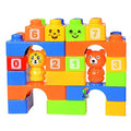 Kagofit Big Size Blocks Set in Bag- 30 Pieces