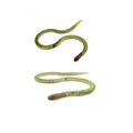 Wooden Stretchable Snake | Handcrafted Flexible Snake Toy