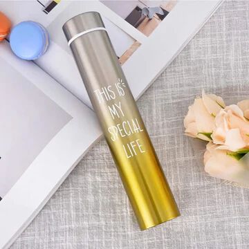 Stainless Steel Slim Thin Vacuum Insulated Thermos Bottle 310 ml Steel Bottle Multicolo