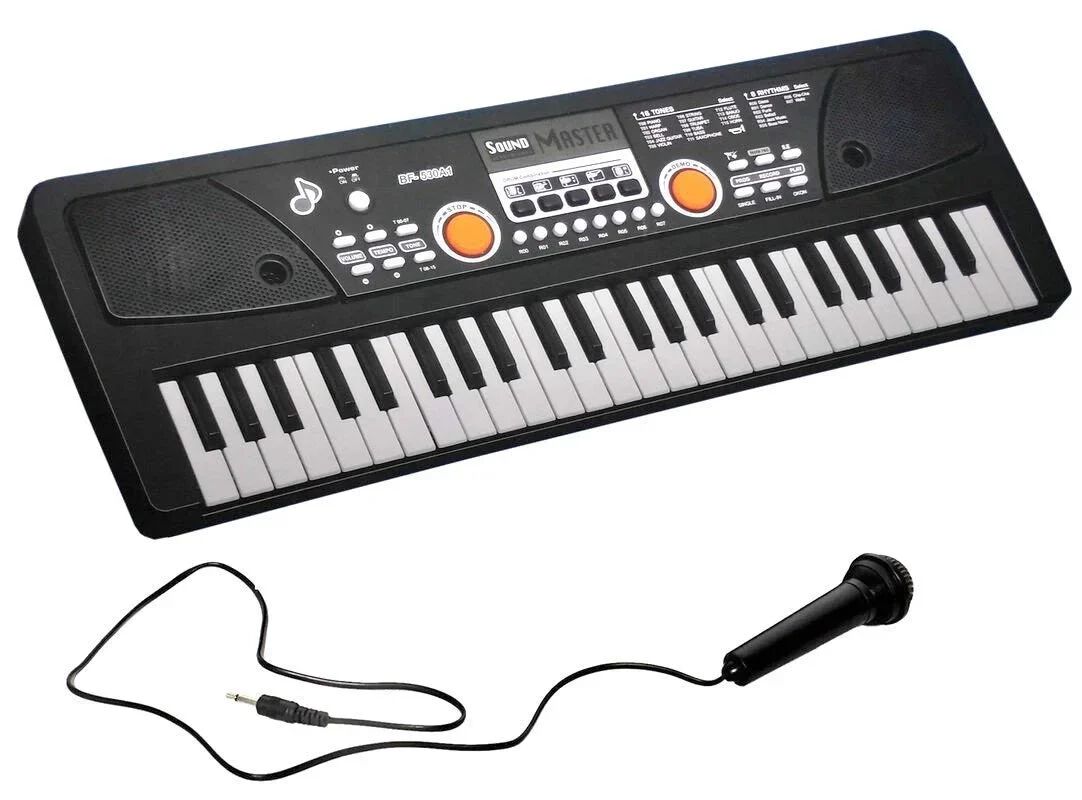 49-Keys Bigfun Electronic Piano with Microphone, USB MP3 Play Function (Black)