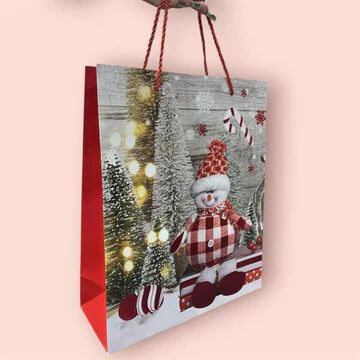 Christmas Gift Bags Winter Designs for Christmas Gifts {Random Design}