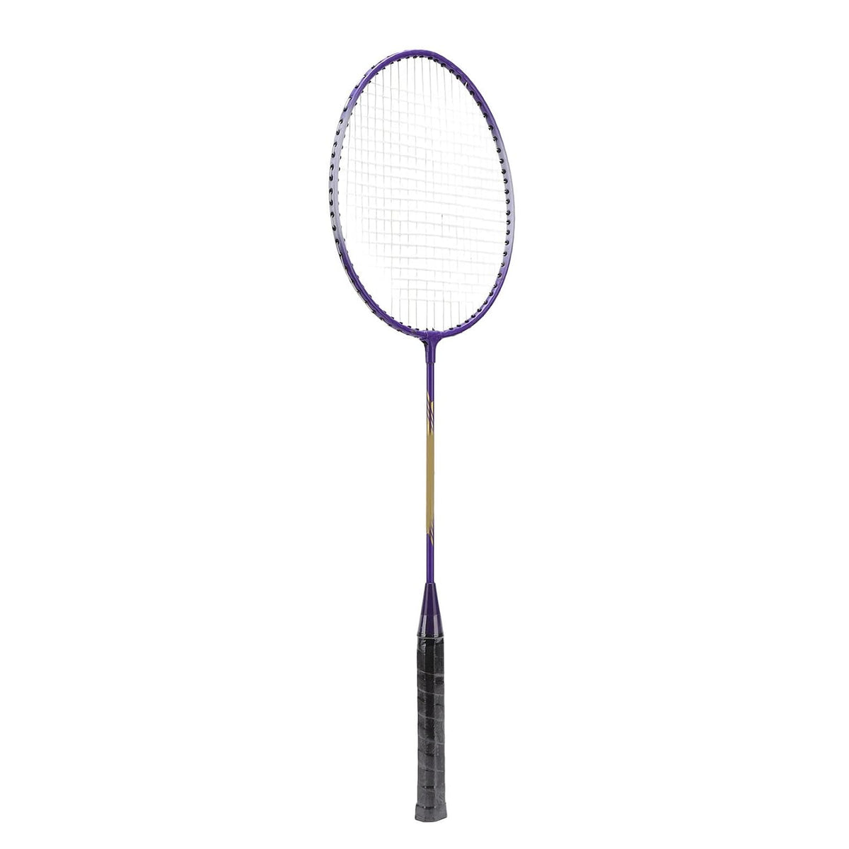 Badminton Rackets 2 Pieces Racket for Training Practice Advanced Violet|Sporting Goods |Badminton (Random Colour)