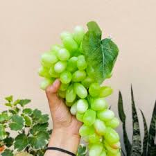 Artificial Grape Bunch with Leaves | ECOSPEL Green Grape Bunch for Car Hanging Home Decor, Table Decor | Medium Size {Green/ Black Grape} - 21120